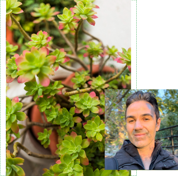 Healthy Nursery Plants