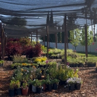 Nursery Life